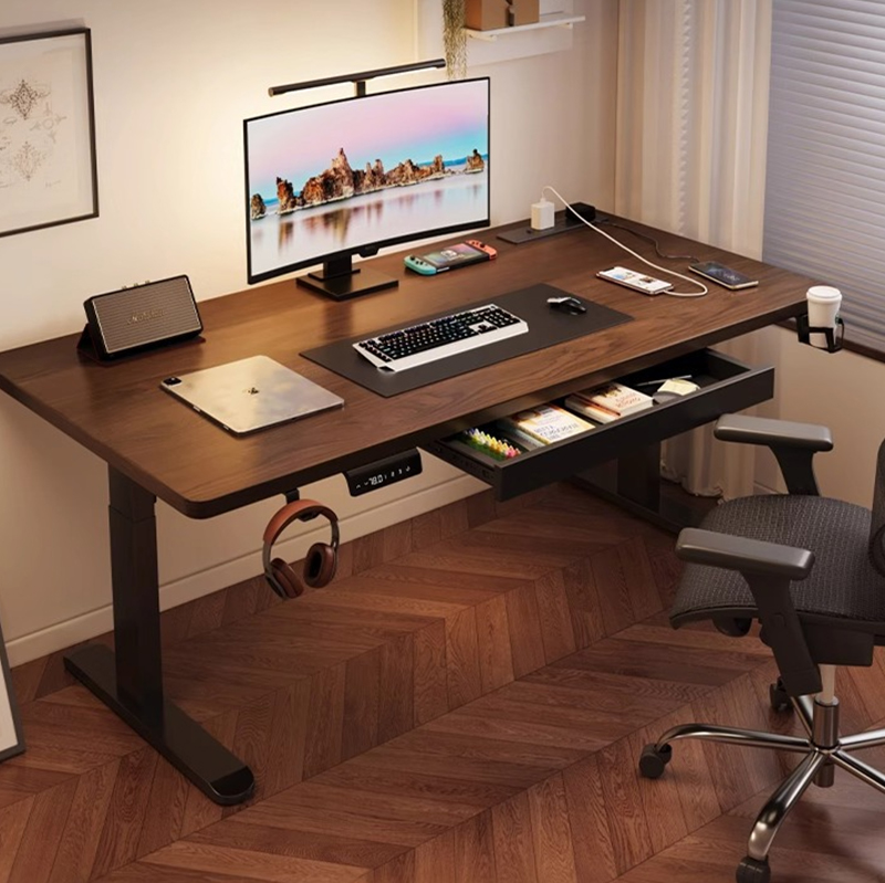 Modern Iron Dual Motor Electri - Desk Setup In Office review and price