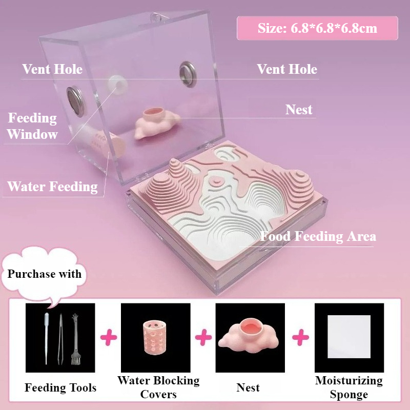 Novelty Jumping Spider Nursing - Desk Setup Background review and price