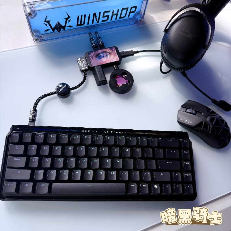 WINSHOP Esports HUB Dual-In 4- - Desk Setup Accessories Aesthetic review and price